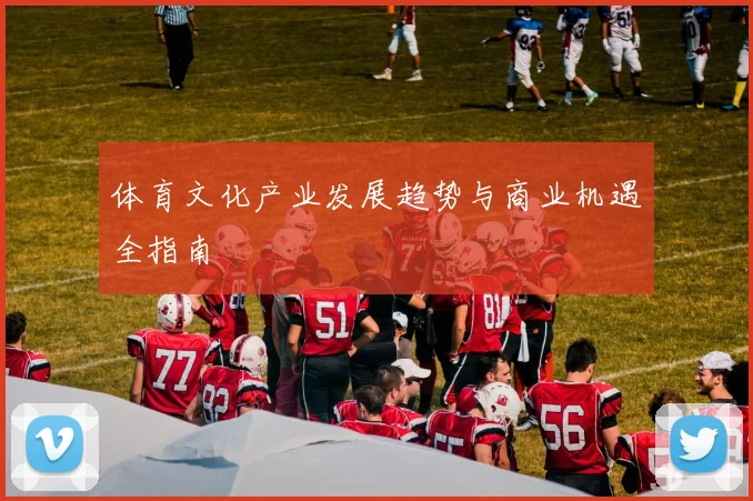 体育文化产业发展趋势与商业机遇全指南