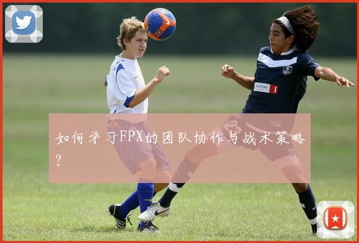 如何学习FPX的团队协作与战术策略?